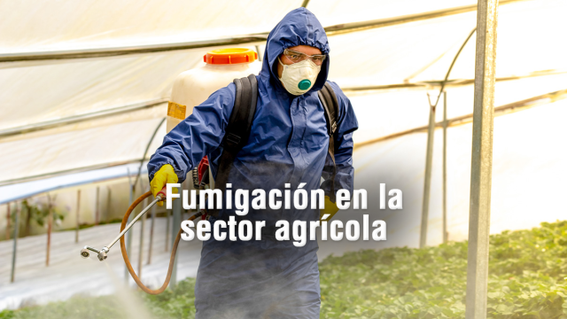 Importancia de un equipo en la fumigación agrícola