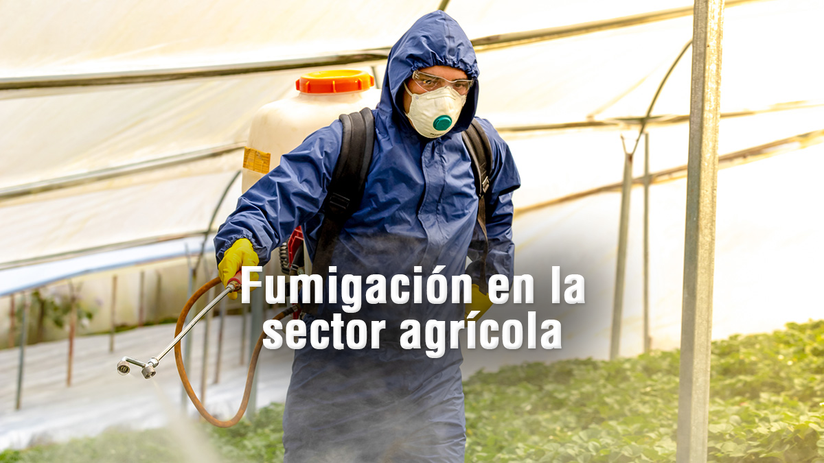 Importancia de la fumigación en la actividad agrícola