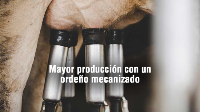 ordeño-mecanizado_2.jpg