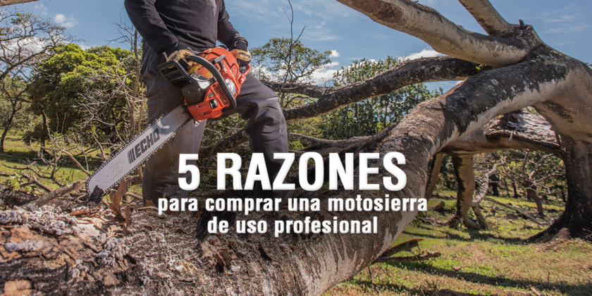 5 razones para elegir una motosierra profesional