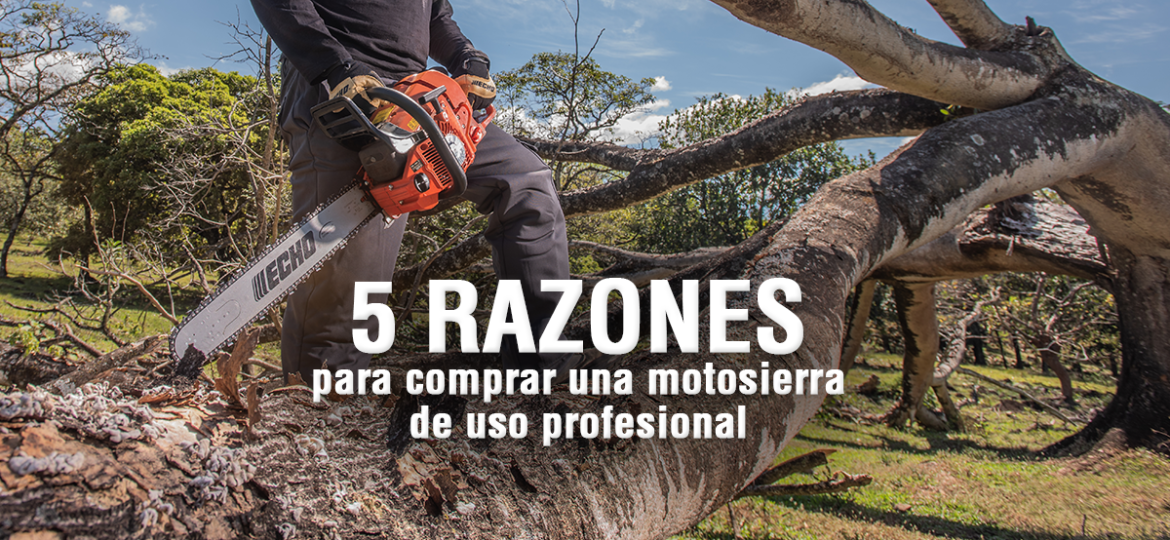 razones para una motosierra profesional_1.jpg