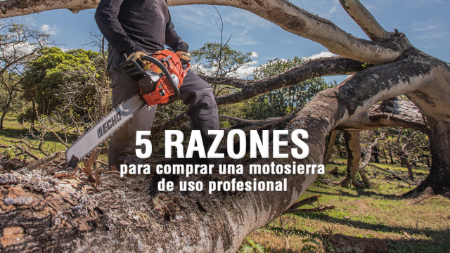 razones para una motosierra profesional_1.jpg