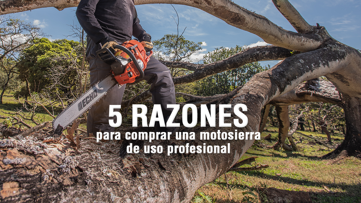 5 razones para elegir una motosierra profesional