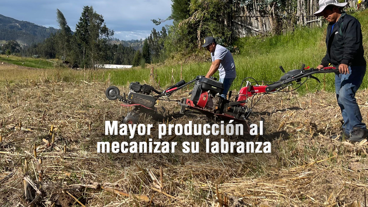 Mejora tu producción y rentabilidad con una labranza mecanizada