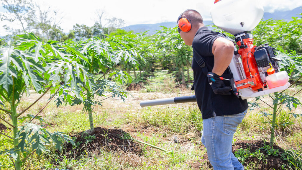 La fumigación sólida permite aplicar productos sólidos como polvos o en forma de gránulos directamente sobre un determinado cultivo, incluso es usado par alimentar peces o camaron.