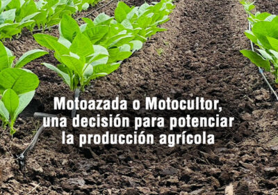 Motoazada