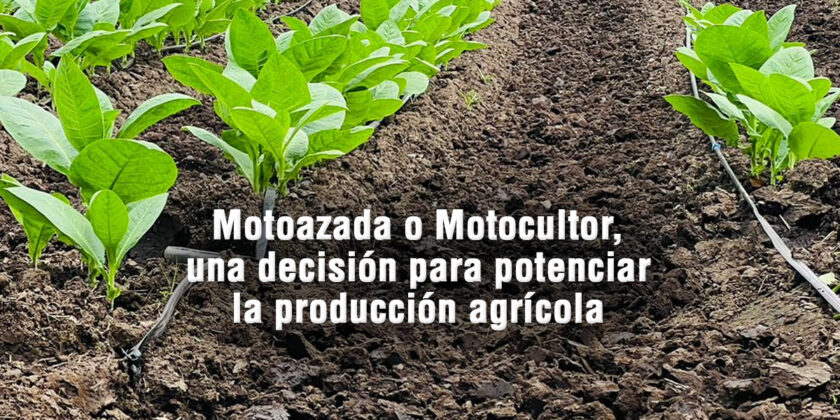 Motoazada o Motocultor para la producción agrícola