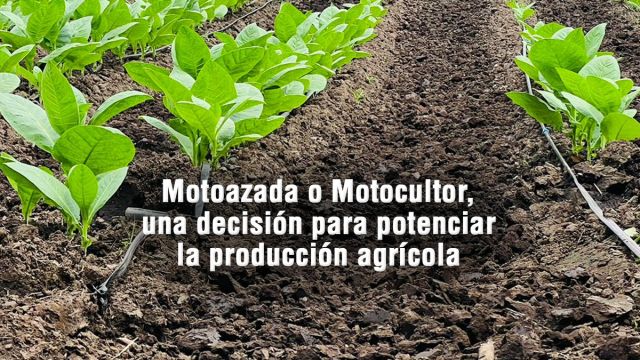 motoazada o motocultor