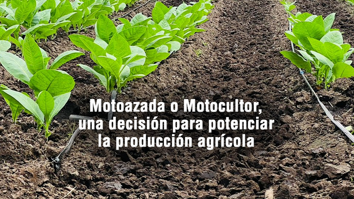 Motoazada o Motocultor para la producción agrícola