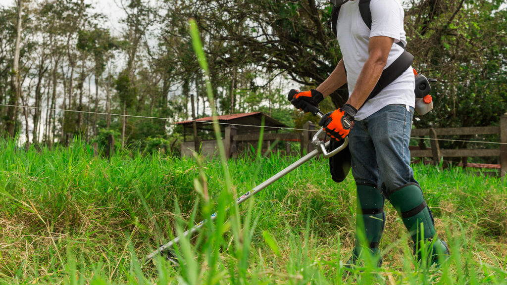 Las desmalezadoras indispensables para la agricultura moderna.