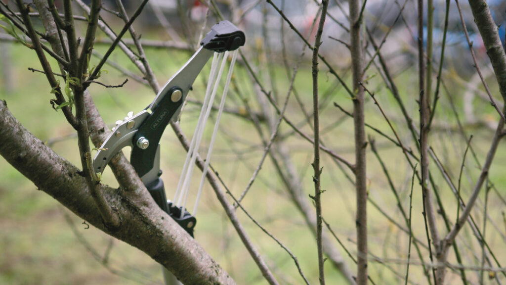 Disponer de un equipo de poda para altura, le ahorrará tiempo en esta labor porque no tendrá que subir al arbol para eliminar las ramas no deseadas.