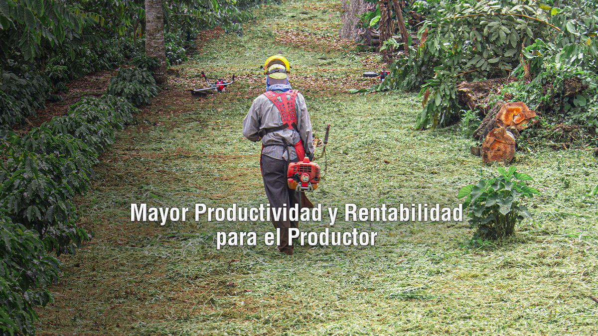 Mayor Productividad y Rentabilidad para el Productor