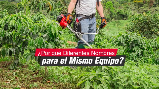 artigulo términos guadaña