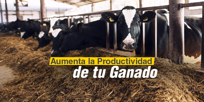 Aumenta la Productividad de tu Ganado