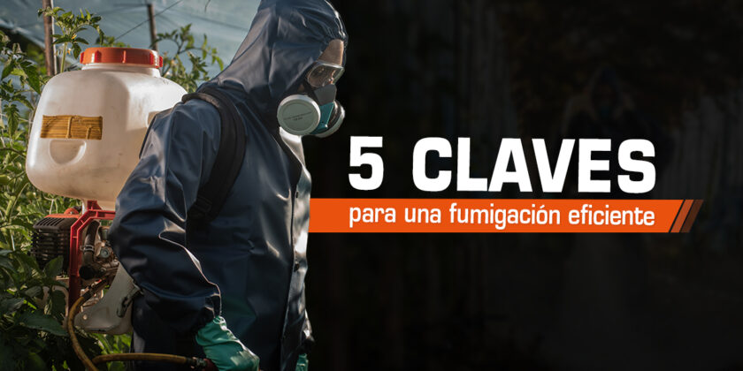 5 Claves para una Fumigación Segura y Eficiente