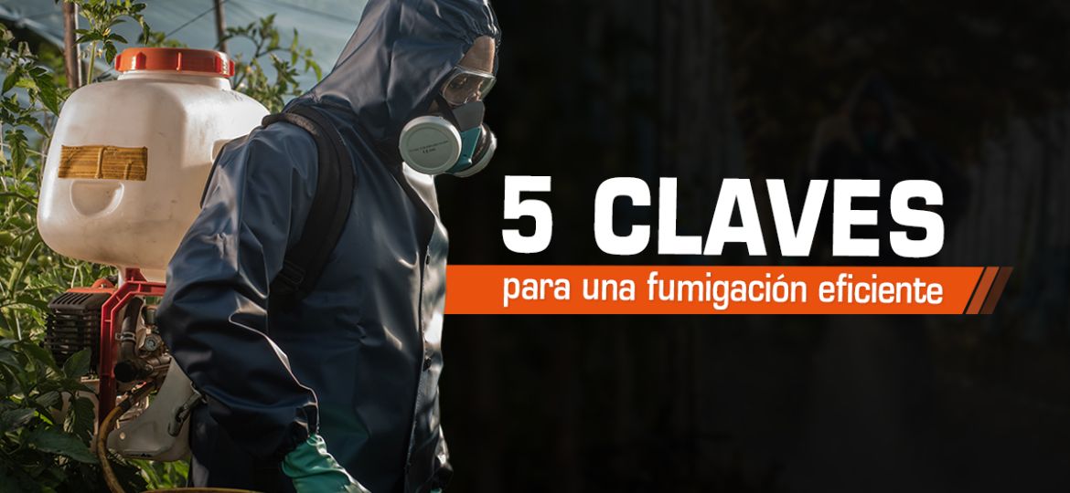 ARTICULO 5 CLAVES PARA FUMIGACIÓN EFICIENTE