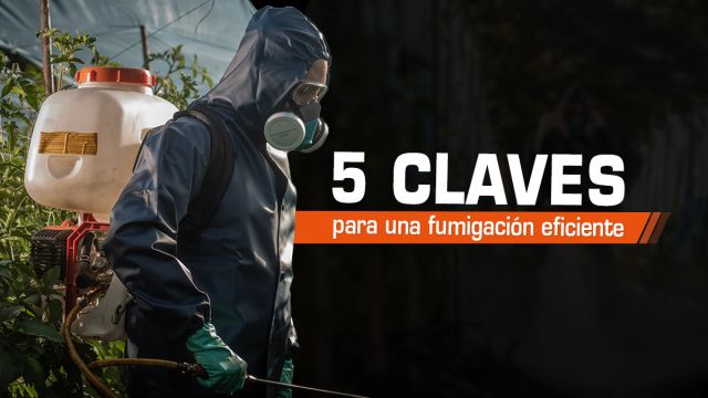 ARTICULO 5 CLAVES PARA FUMIGACIÓN EFICIENTE