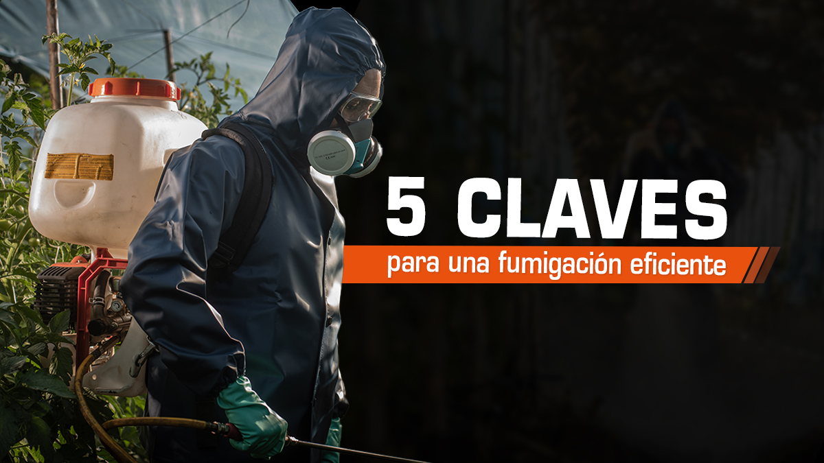 5 Claves para una Fumigación Segura y Eficiente