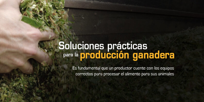 Soluciones Prácticas para la Producción Ganadera