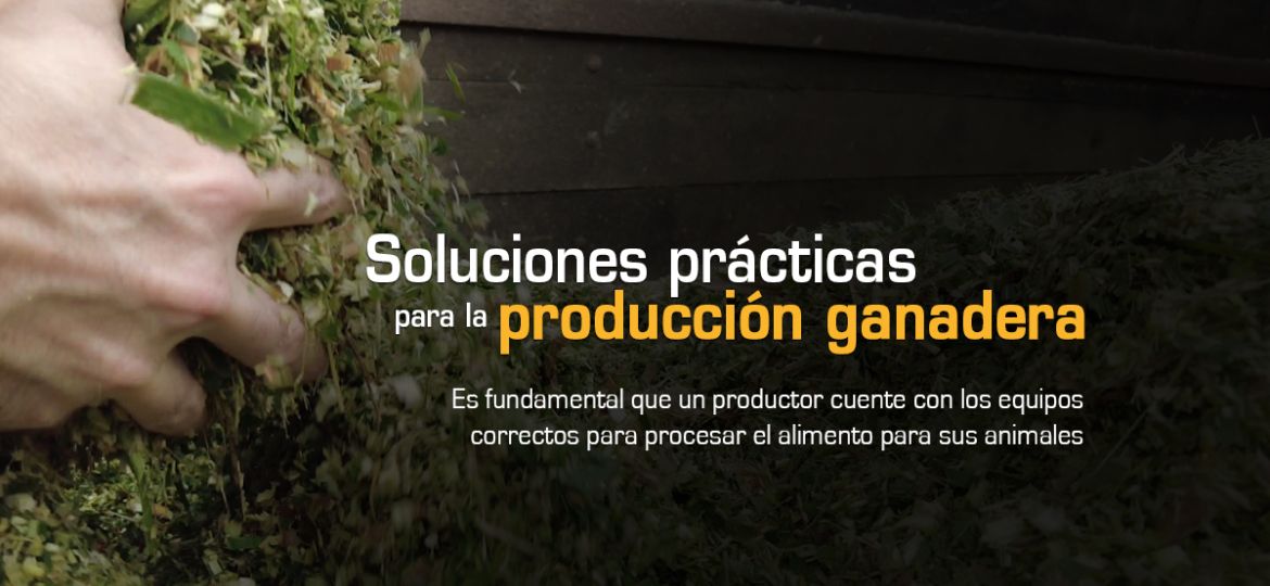Portada_Soluciones en la produccion ganadera