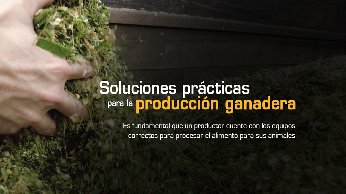 Soluciones Prácticas para la Producción Ganadera