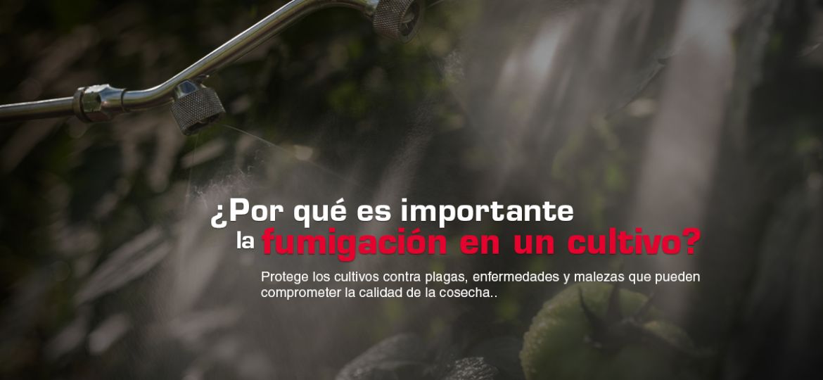 Porque es importante la fumigación en un cultivo