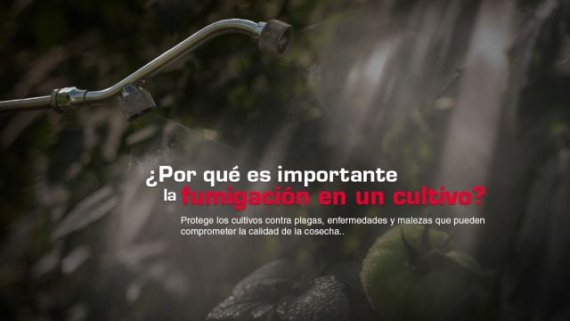Porque es importante la fumigación en un cultivo