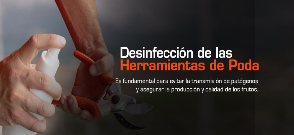 Desinfección de herramientas de poda