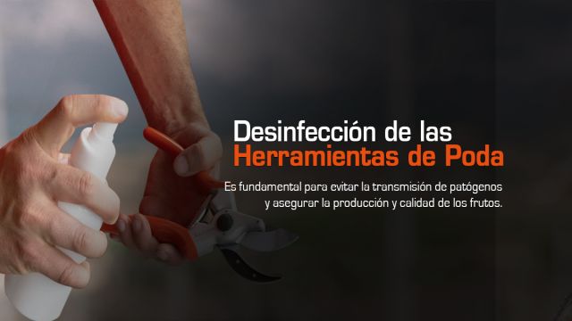 Desinfección de herramientas de poda