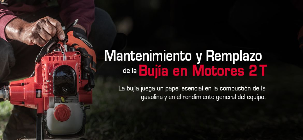 mantenimiento de bujía