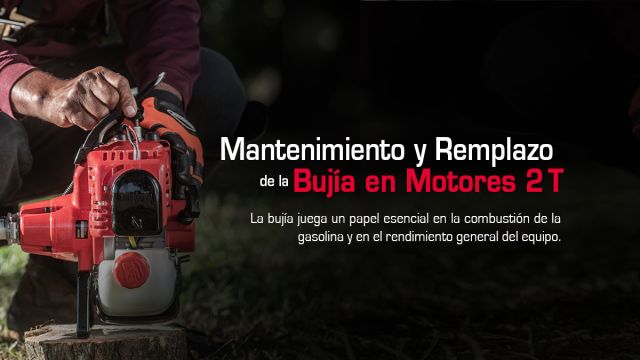 mantenimiento de bujía
