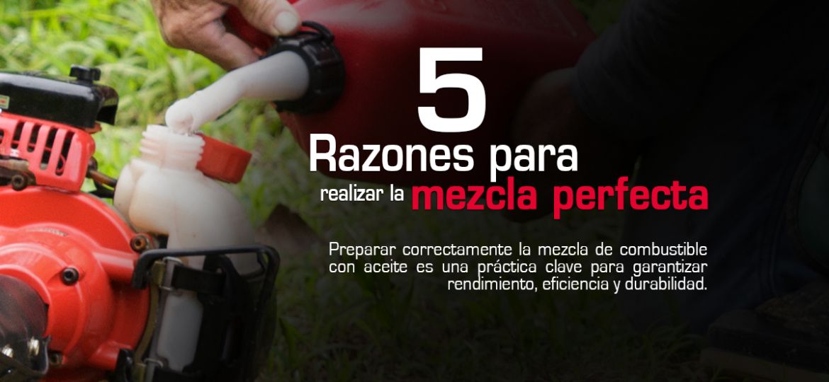 Artículo 5 razones para realizar la mezcla correcta