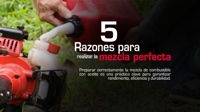 Artículo 5 razones para realizar la mezcla correcta